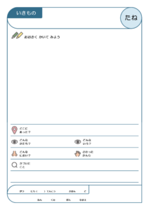 観察カードB